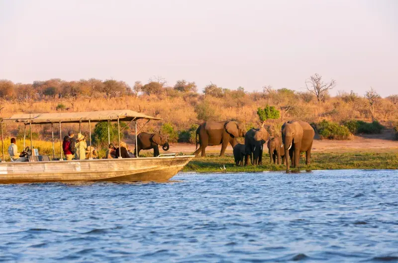 Victoria Falls Tour & Chobe Safari